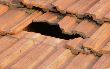 roof repair Lutley, West Midlands